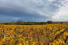 13-3-Clochers_Gimeaux_vignes_couleur_contraste_automne_S152321_2023-11-12