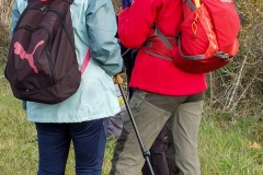 14-3-Clochers_Gimeaux_Brigitte_Nadine_Madeleine_complot_S152621_2023-11-12