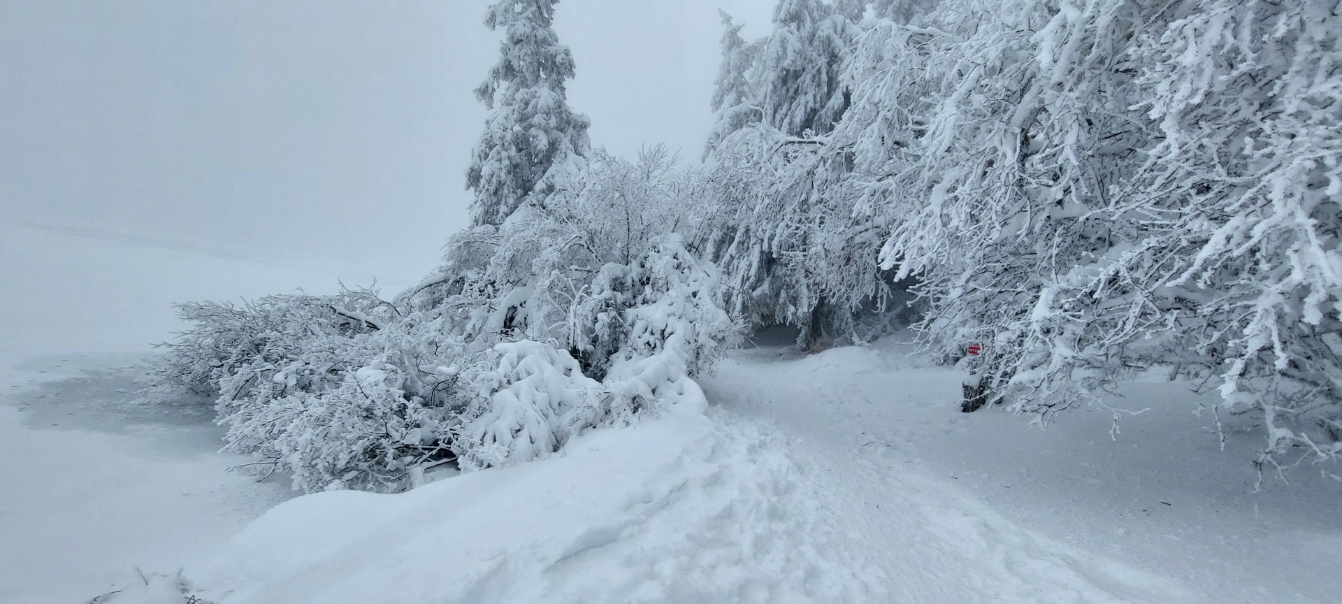 Rando raquettes au Guéry et lac Servières