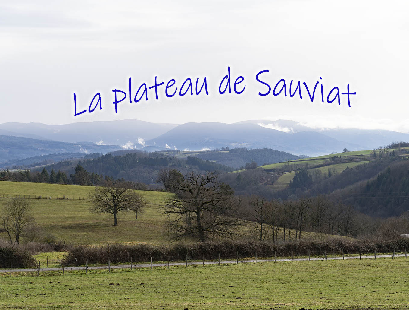 Le plateau de Sauviat